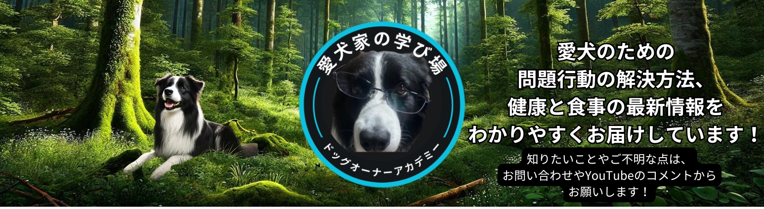 【犬のしつけ教室】ドッグオーナーアカデミー