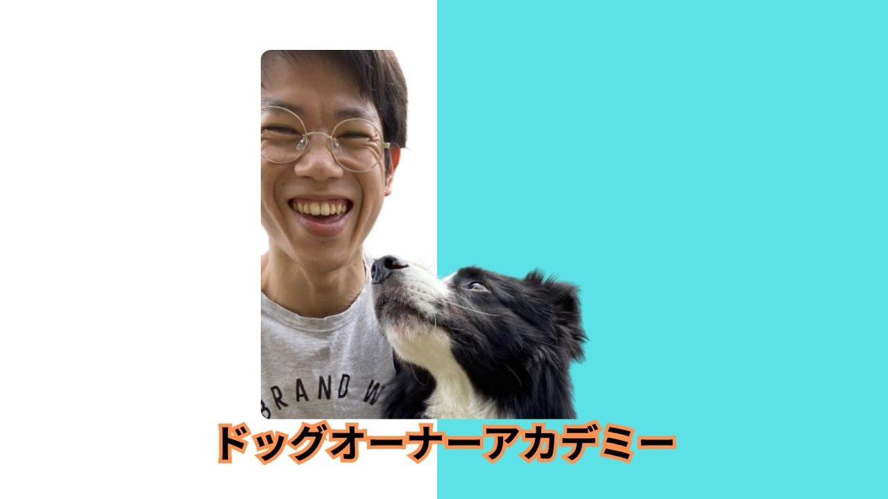 ドッグオーナーアカデミーのトレーナーが、愛犬のボーダーコリーと愛情深く見つめ合い、満面の笑みを浮かべているプロフィール画像。