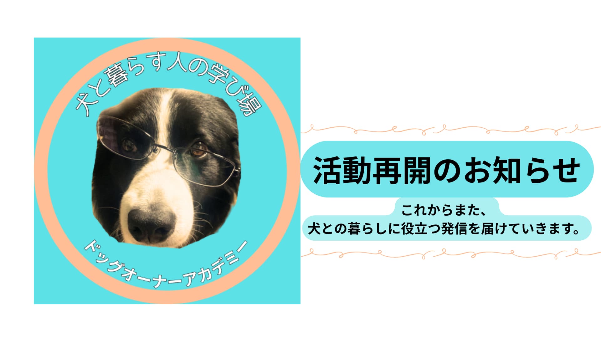 活動再開のお知らせ。ドッグオーナーアカデミーのロゴと、これからまた犬との暮らしに役立つ発信を届けていく旨を示した画像