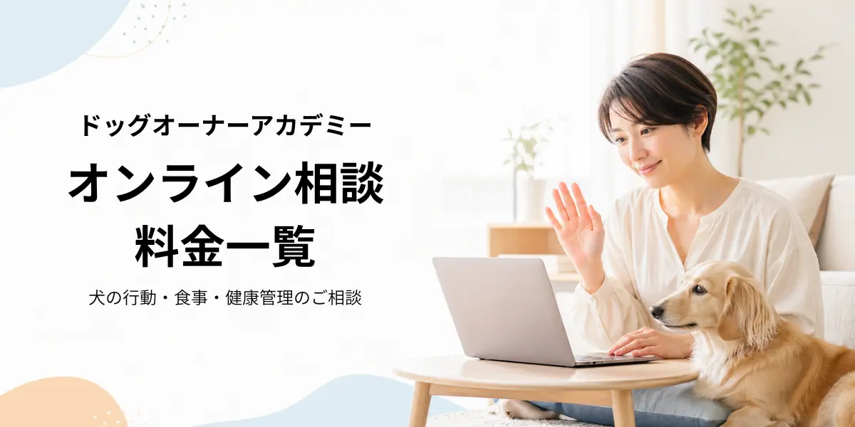 ドッグオーナーアカデミーのオンライン相談料金一覧ページのアイキャッチ画像。ノートパソコンで相談する飼い主と犬が写り、犬の行動・食事・健康管理の相談を案内している。