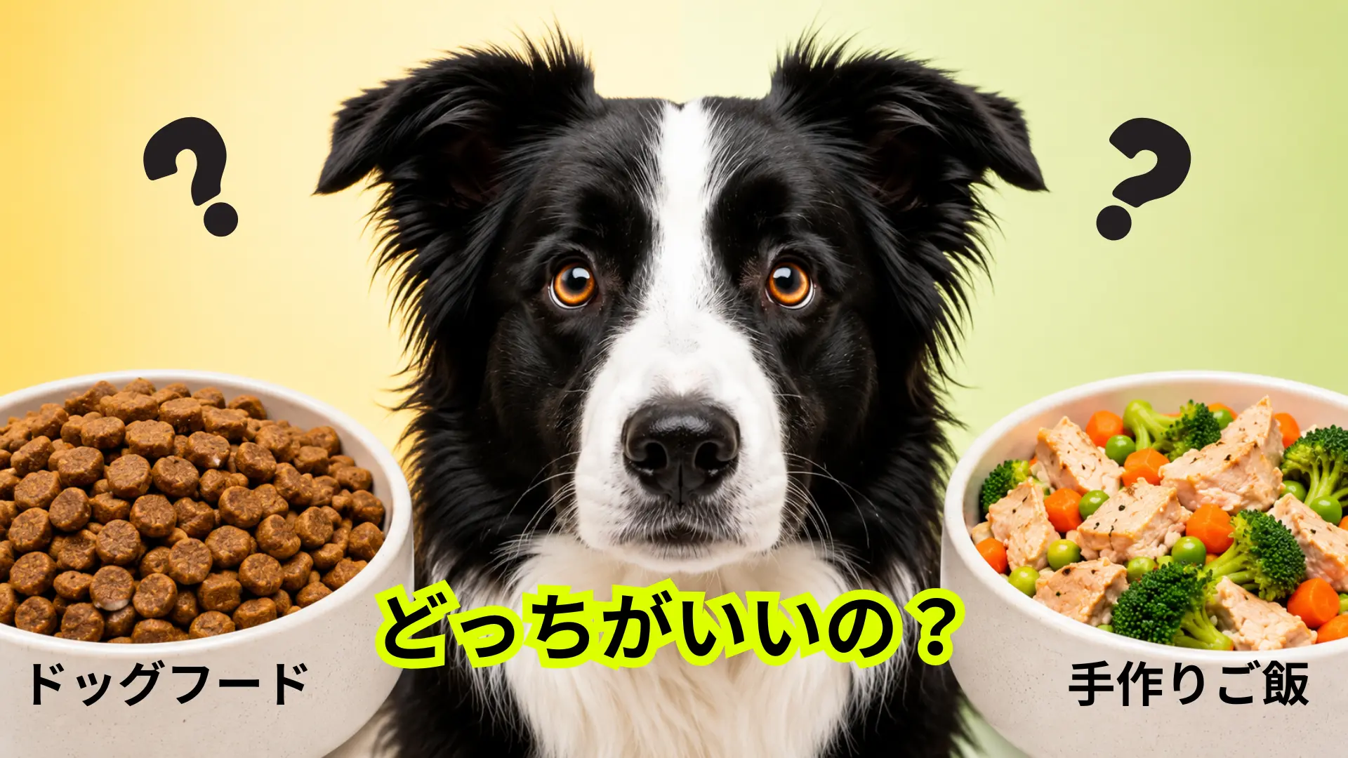 犬の食事を見直すためにドッグフードと手作りご飯を比較するイメージ